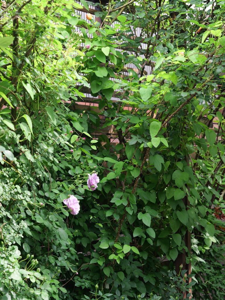 2025-05-04 09_03№(0213).JPG