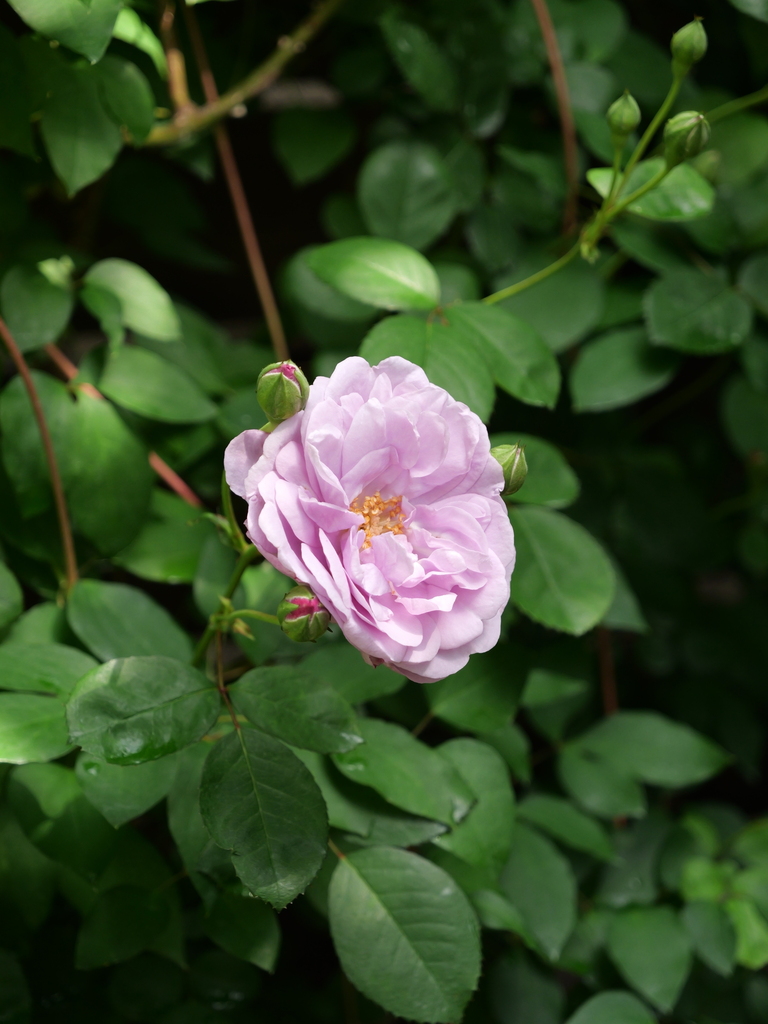 2025-05-04 09_03№(0215).JPG