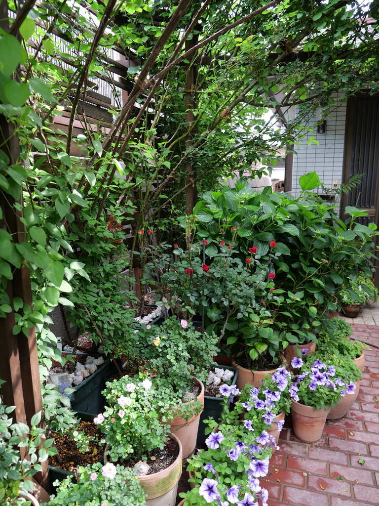 2025-05-04 09_03№(0221).JPG