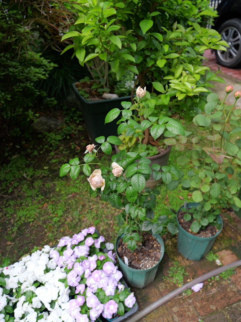 2025-05-04 09_04№(0240).JPG