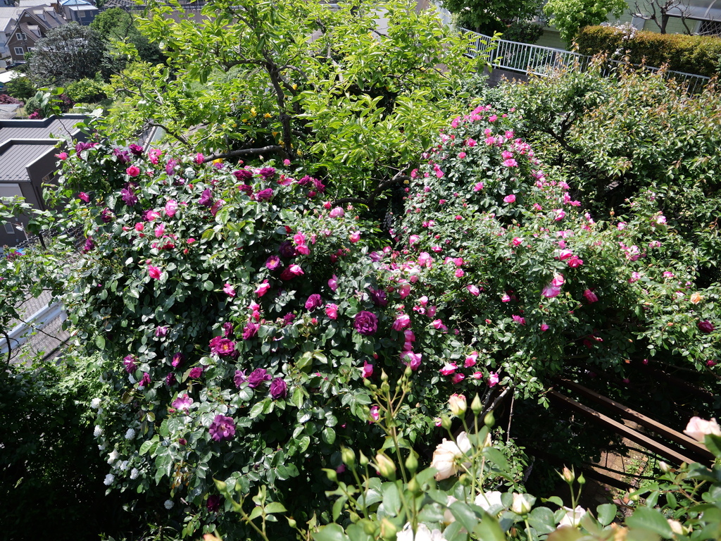 2025-05-04 10_17№(0458).JPG