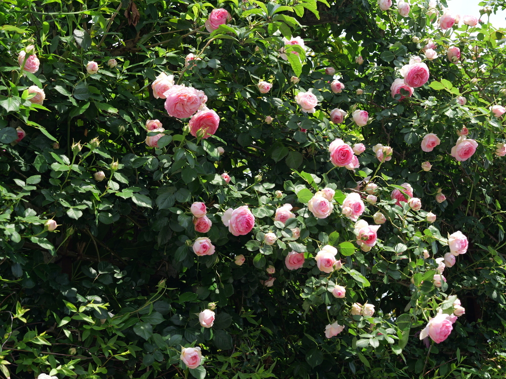 2025-05-04 11_19№(0631).JPG