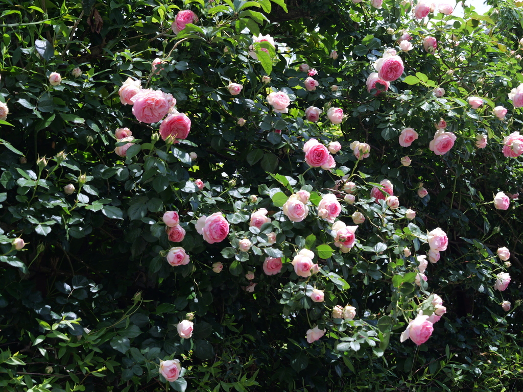 2025-05-04 11_19№(0632).JPG