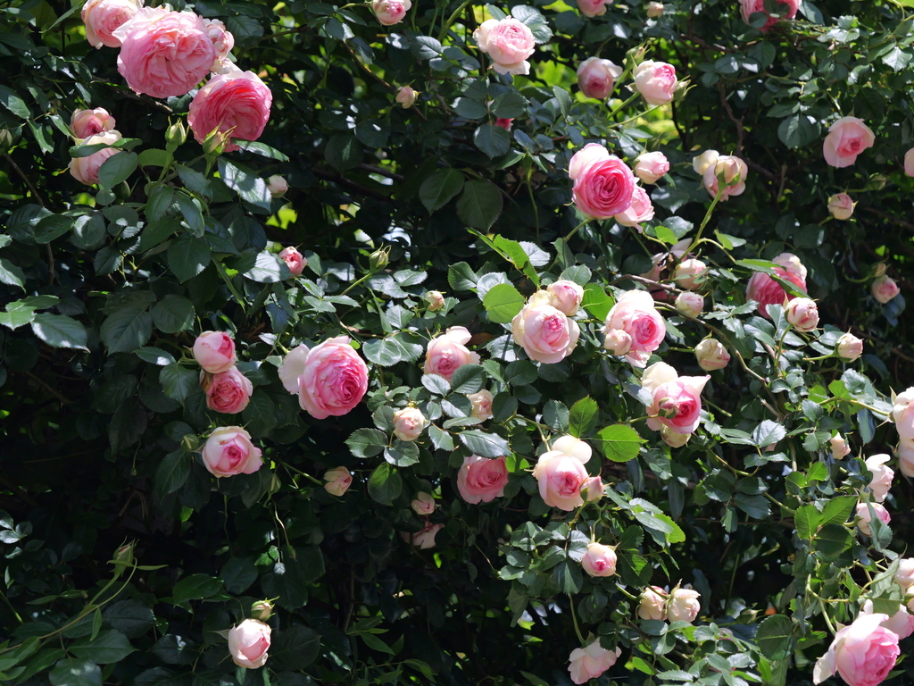 2025-05-04 11_19№(0633).JPG