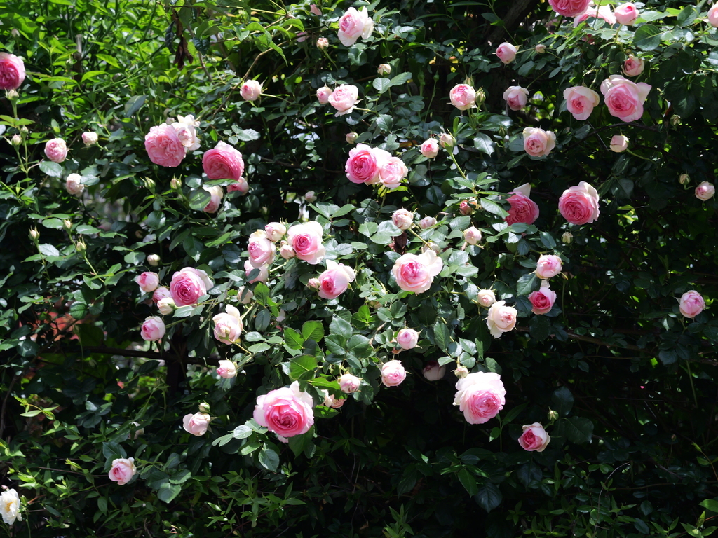 2025-05-04 11_19№(0637).JPG