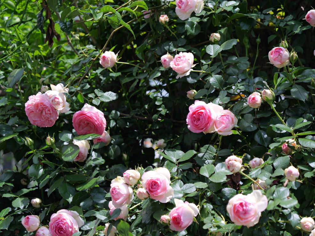 2025-05-04 11_19№(0640).JPG