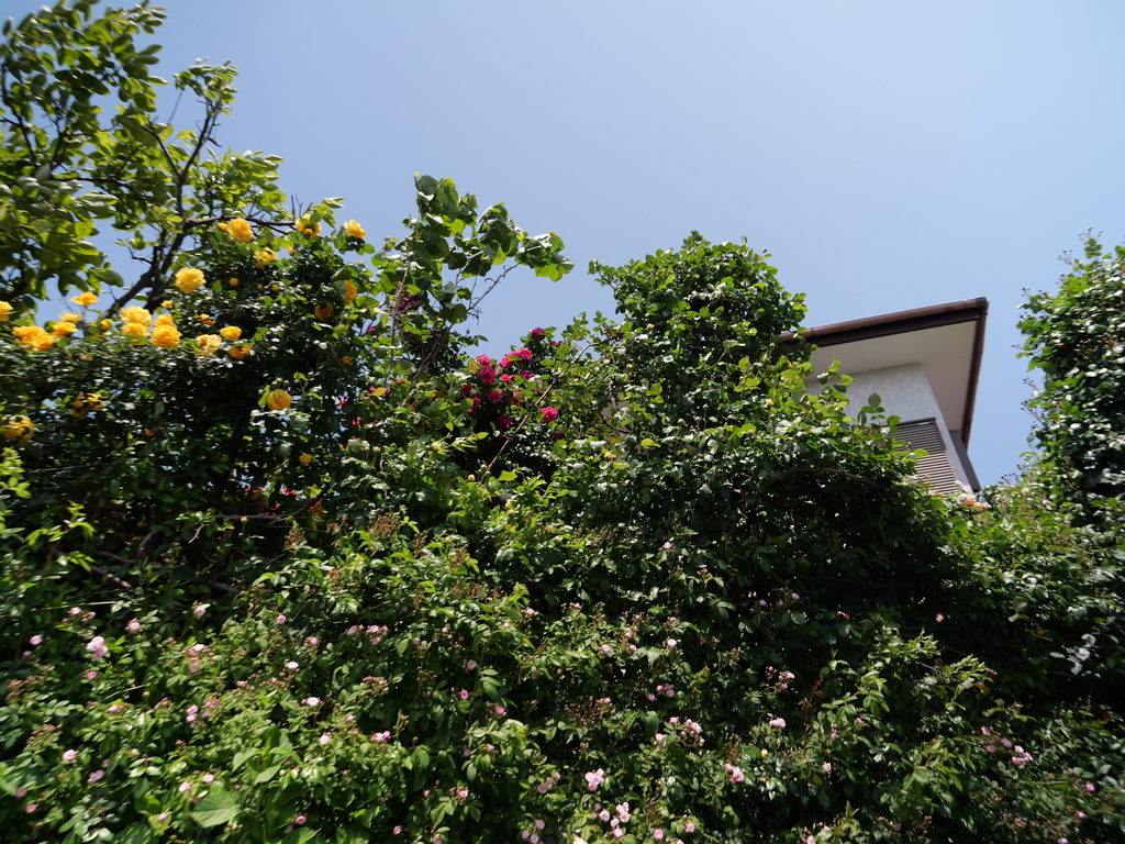 2025-05-05 10_52№(0348).JPG