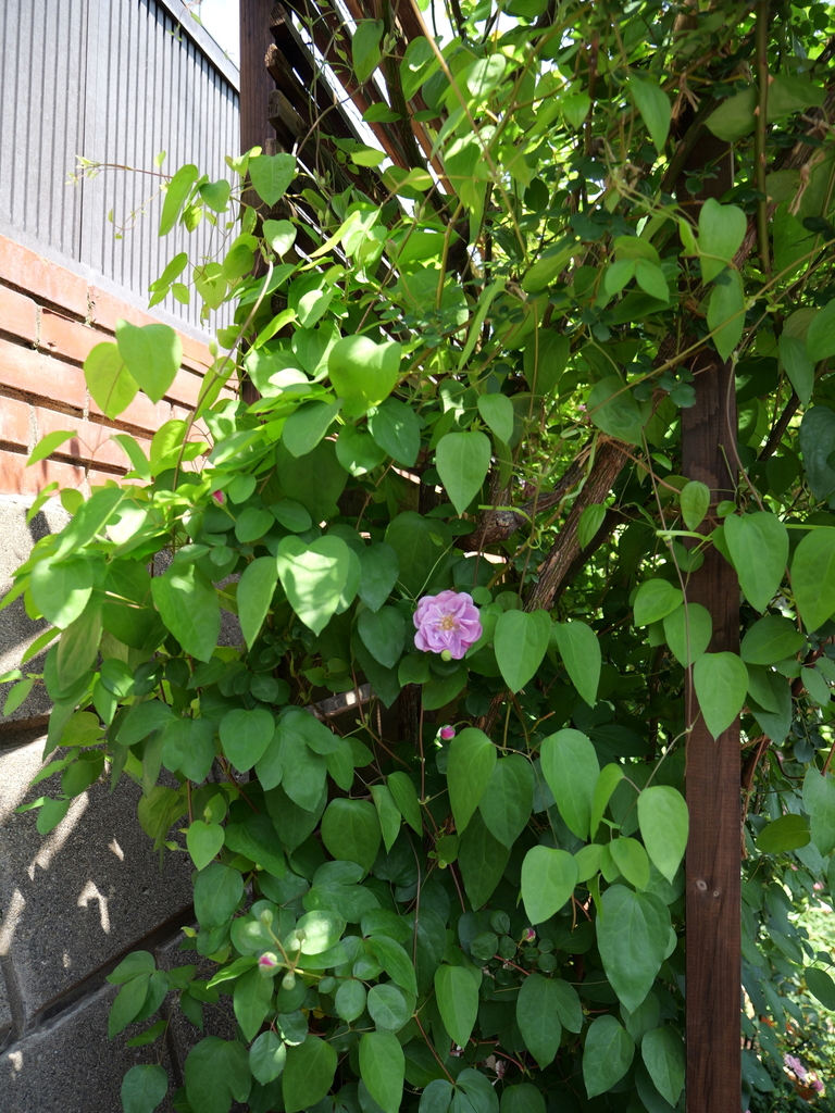 2025-05-05 11_19№(0725).JPG