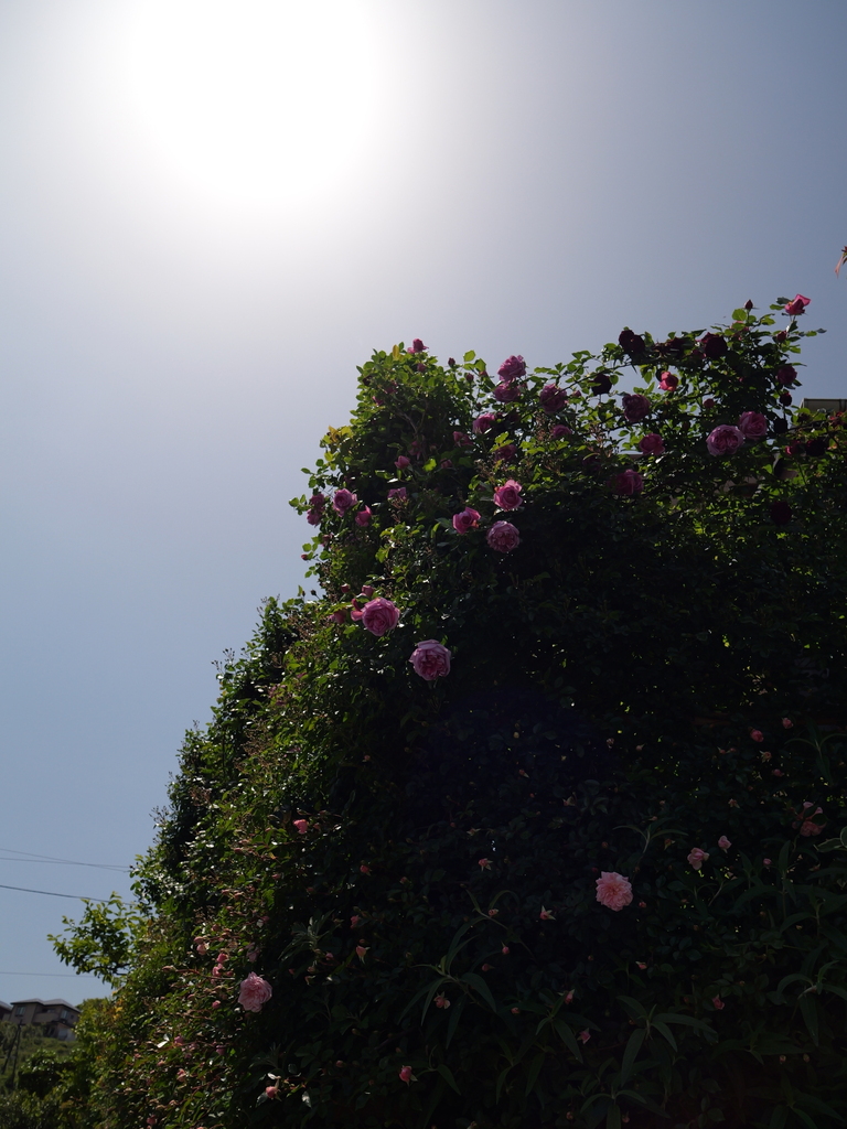 2025-05-05 11_44№(0856).JPG