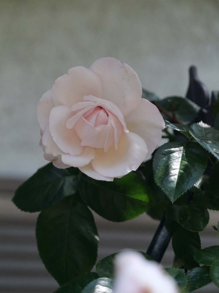 2025-05-05 11_46№(0909).JPG