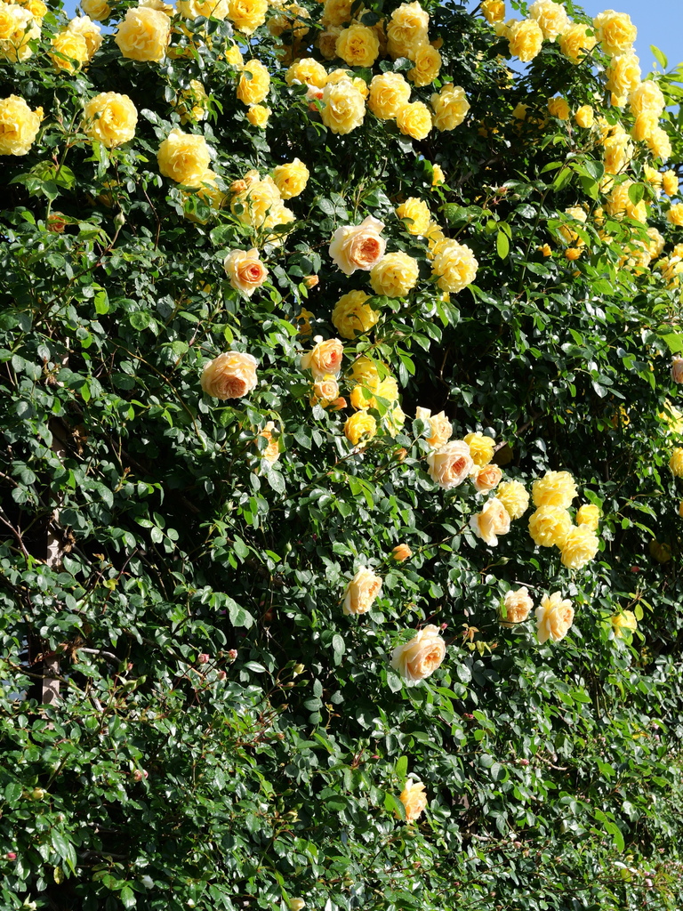 2025-05-07 07_19№(0151).JPG