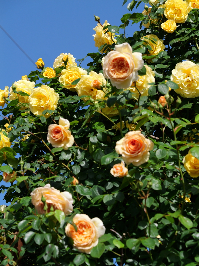 2025-05-07 07_19№(0156).JPG