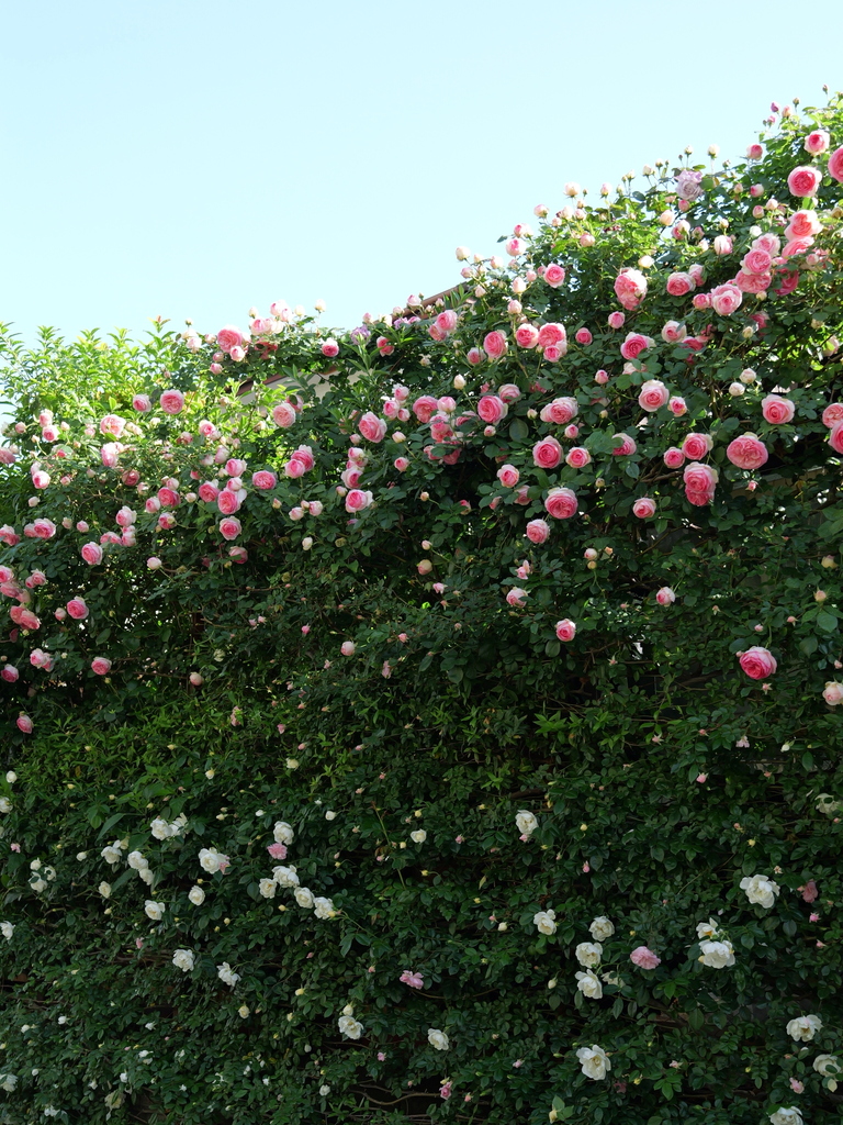 2025-05-07 07_21№(0200).JPG