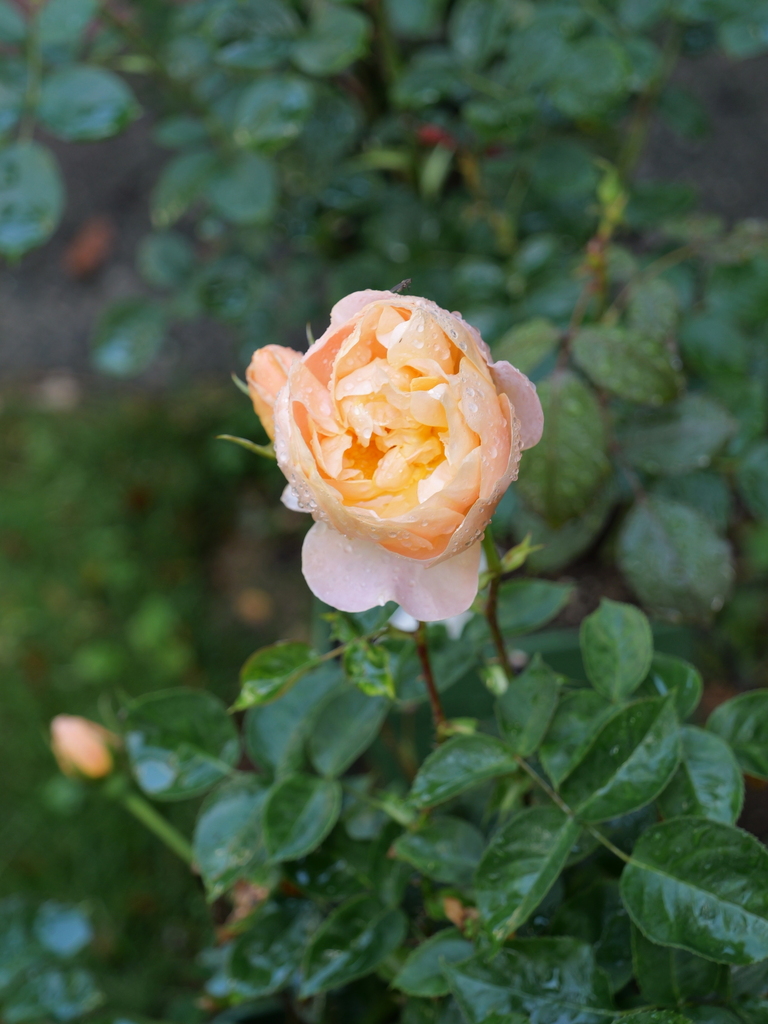 2025-05-07 07_22№(0252).JPG