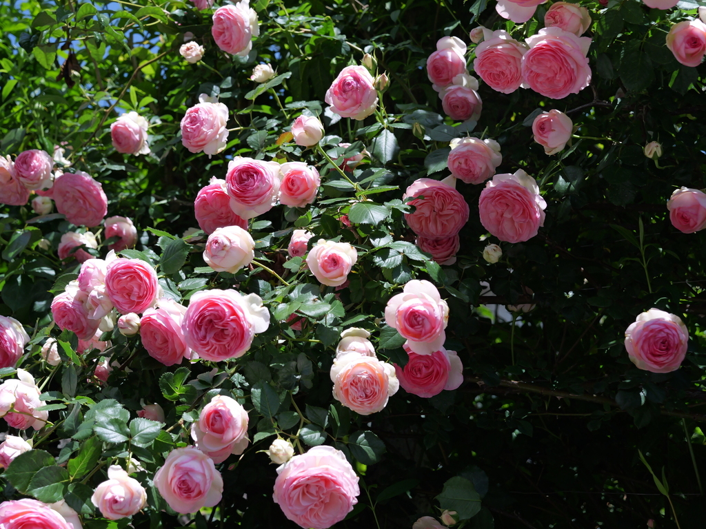 2025-05-07 11_50№(0690).JPG