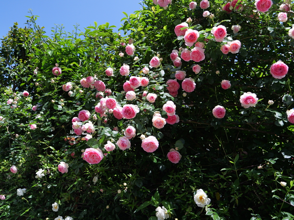 2025-05-07 11_50№(0691).JPG