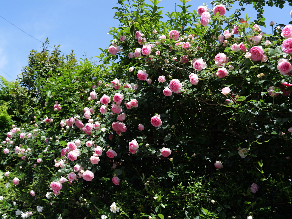 2025-05-07 11_50№(0695).JPG