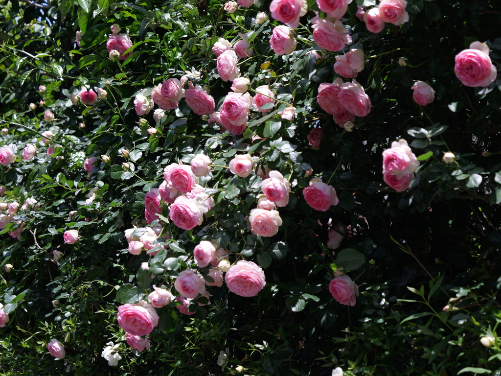 2025-05-07 11_50№(0698).JPG