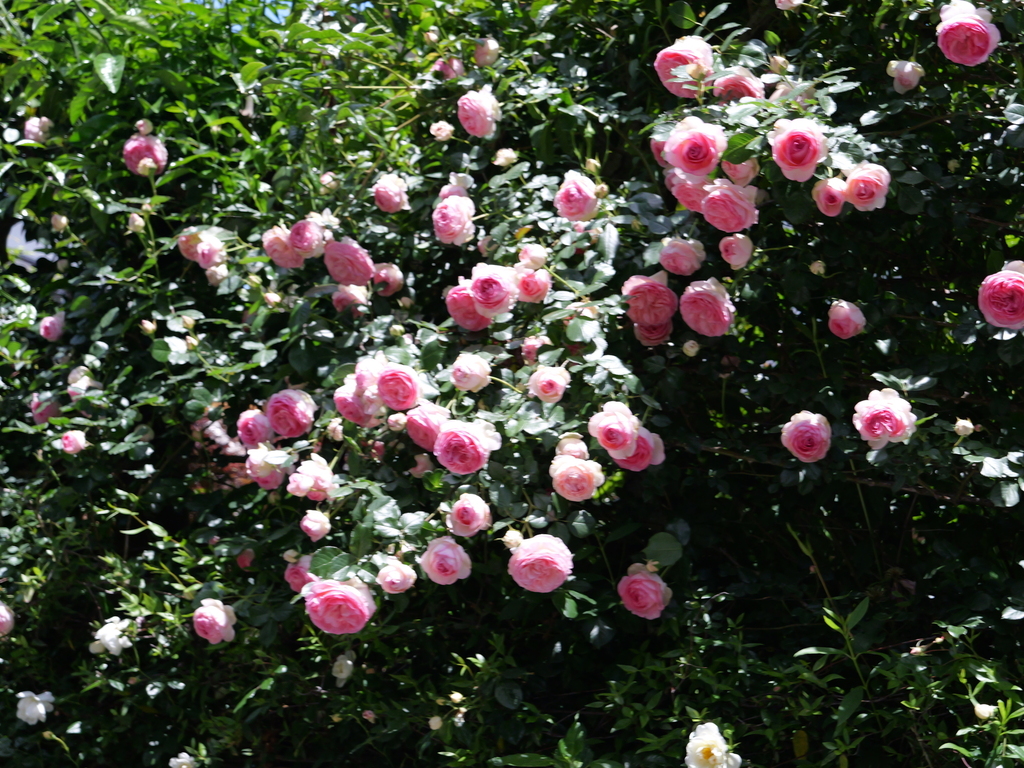 2025-05-07 11_50№(0699).JPG