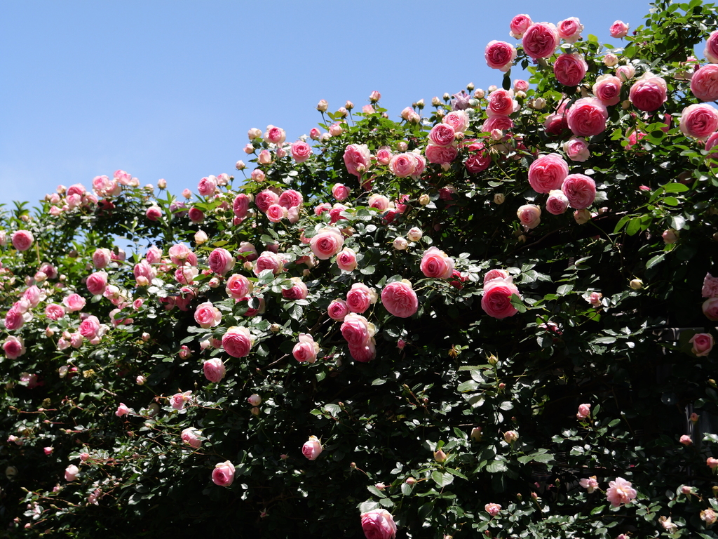 2025-05-07 11_51№(0706).JPG