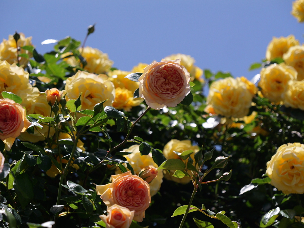 2025-05-07 11_52№(0735).JPG