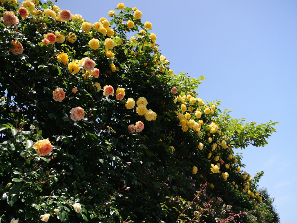 2025-05-07 11_52№(0741).JPG