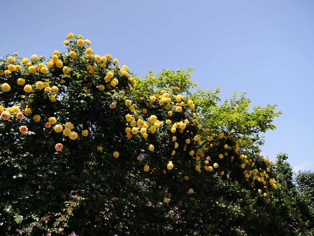 2025-05-07 11_52№(0742).JPG
