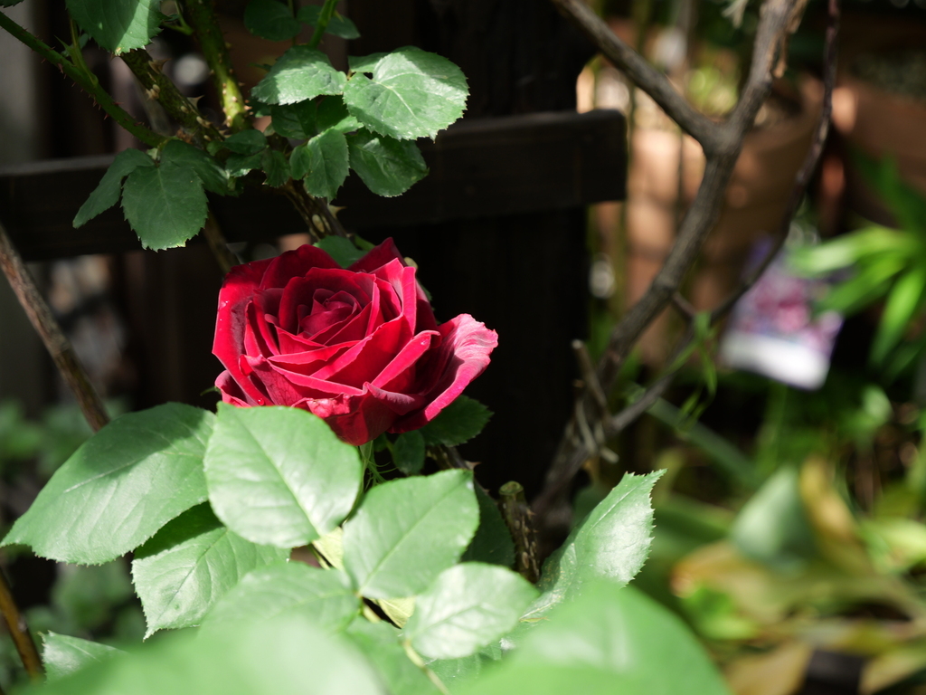 2025-05-08 09_03№(0224).JPG