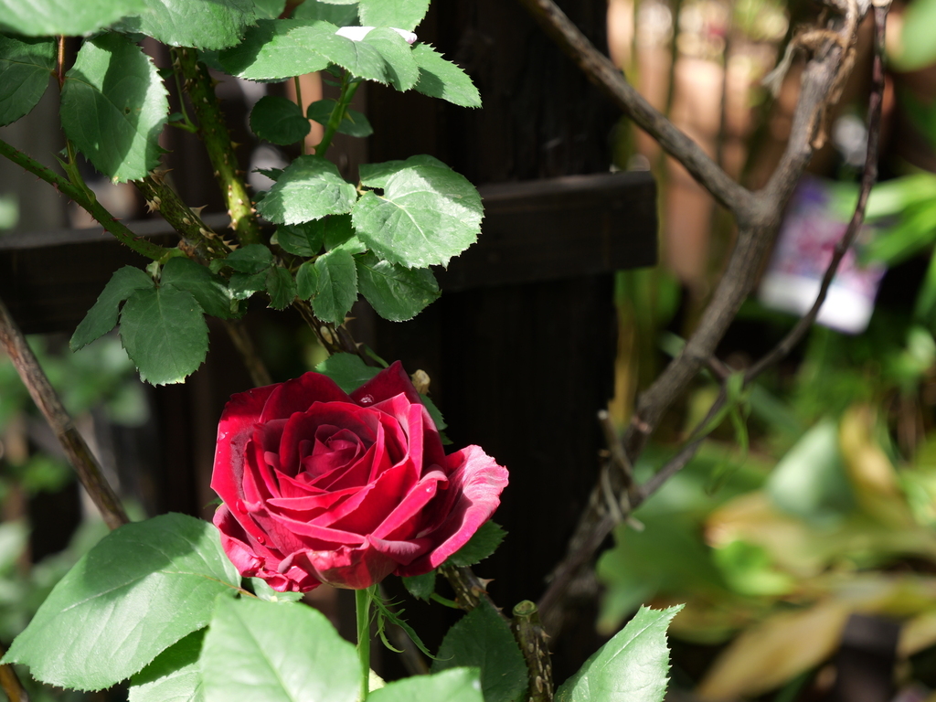 2025-05-08 09_03№(0225).JPG