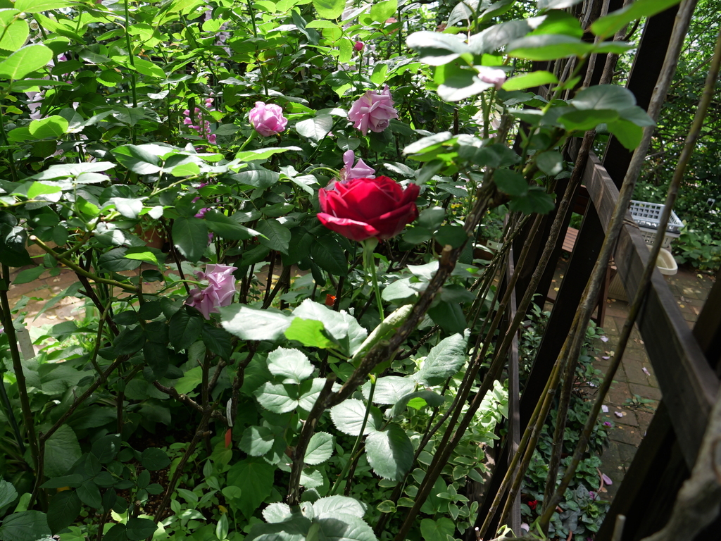 2025-05-08 09_04№(0227).JPG