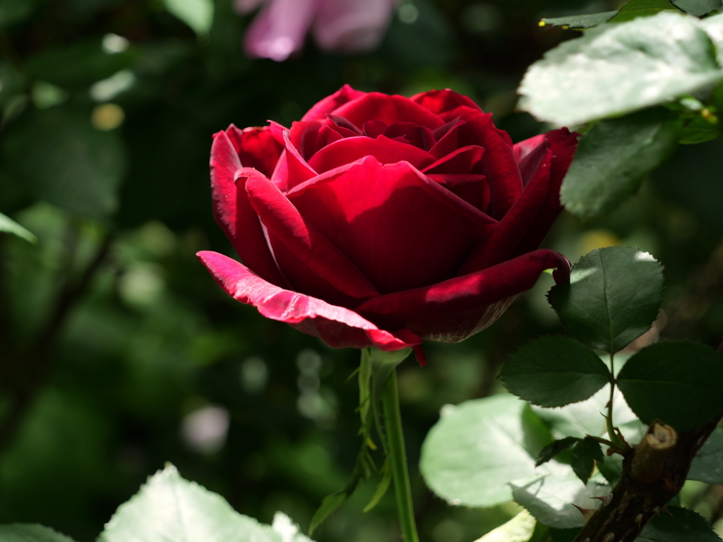2025-05-08 09_04№(0228).JPG