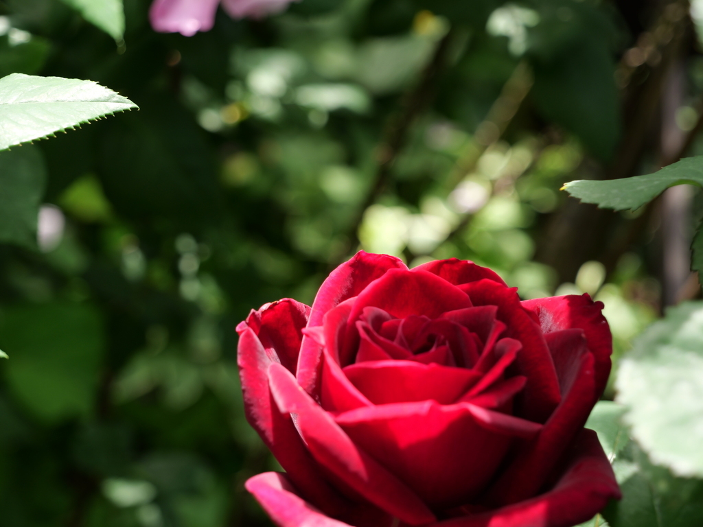2025-05-08 09_05№(0229).JPG