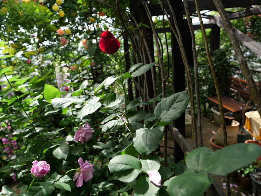 2025-05-08 09_05№(0236).JPG