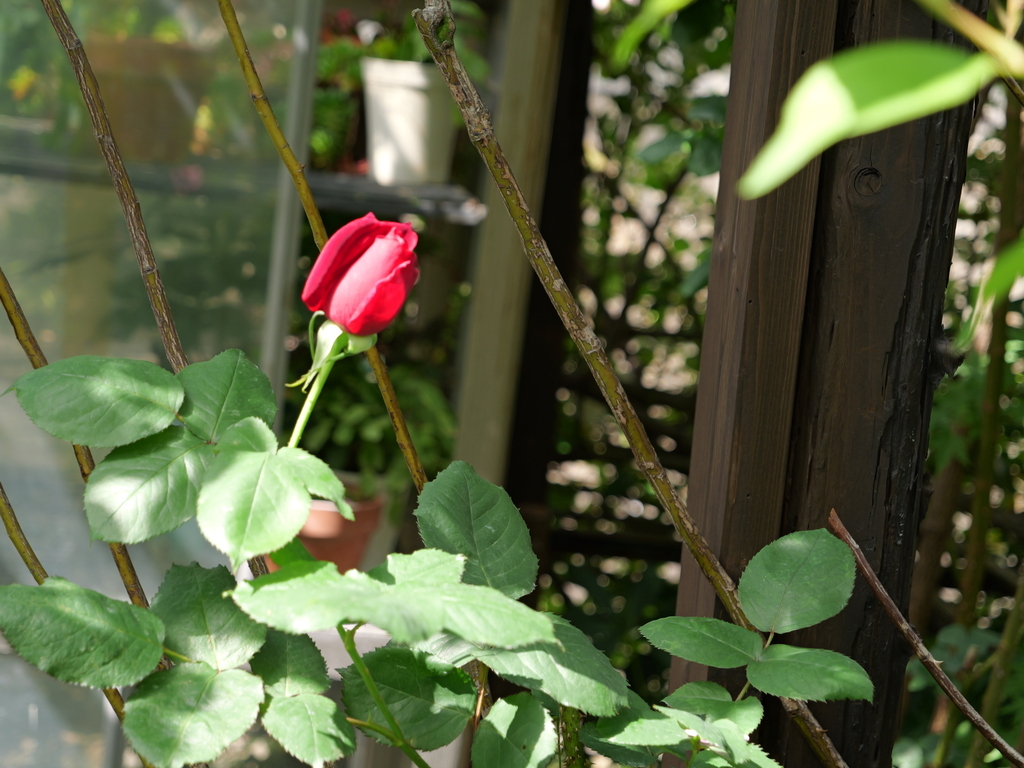 2025-05-08 09_05№(0254).JPG
