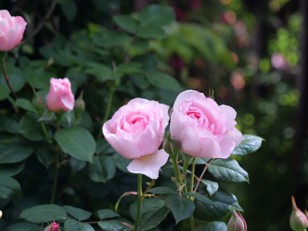 2025-05-08 09_08№(0343).JPG