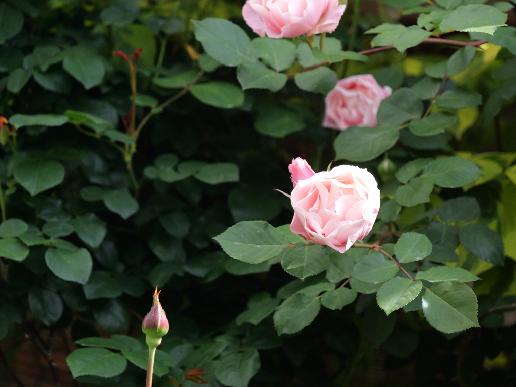2025-05-08 09_08№(0351).JPG