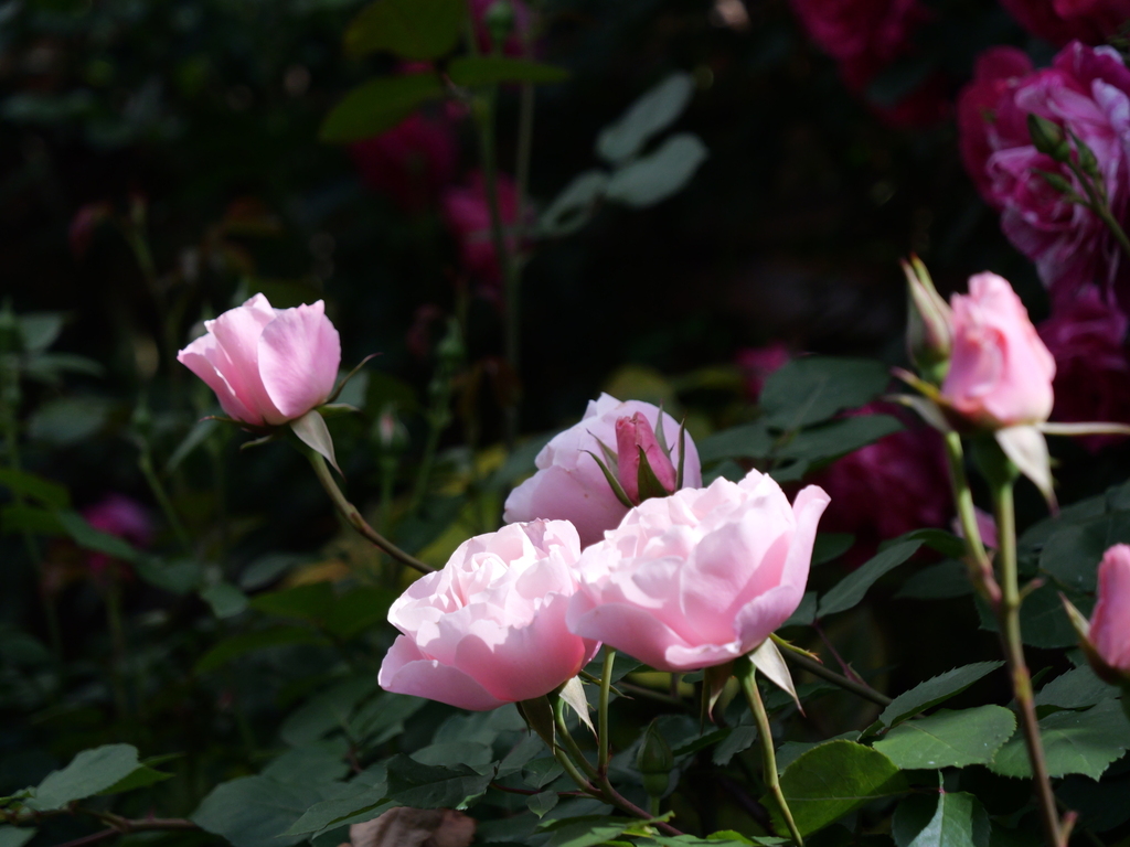 2025-05-08 09_09№(0357).JPG