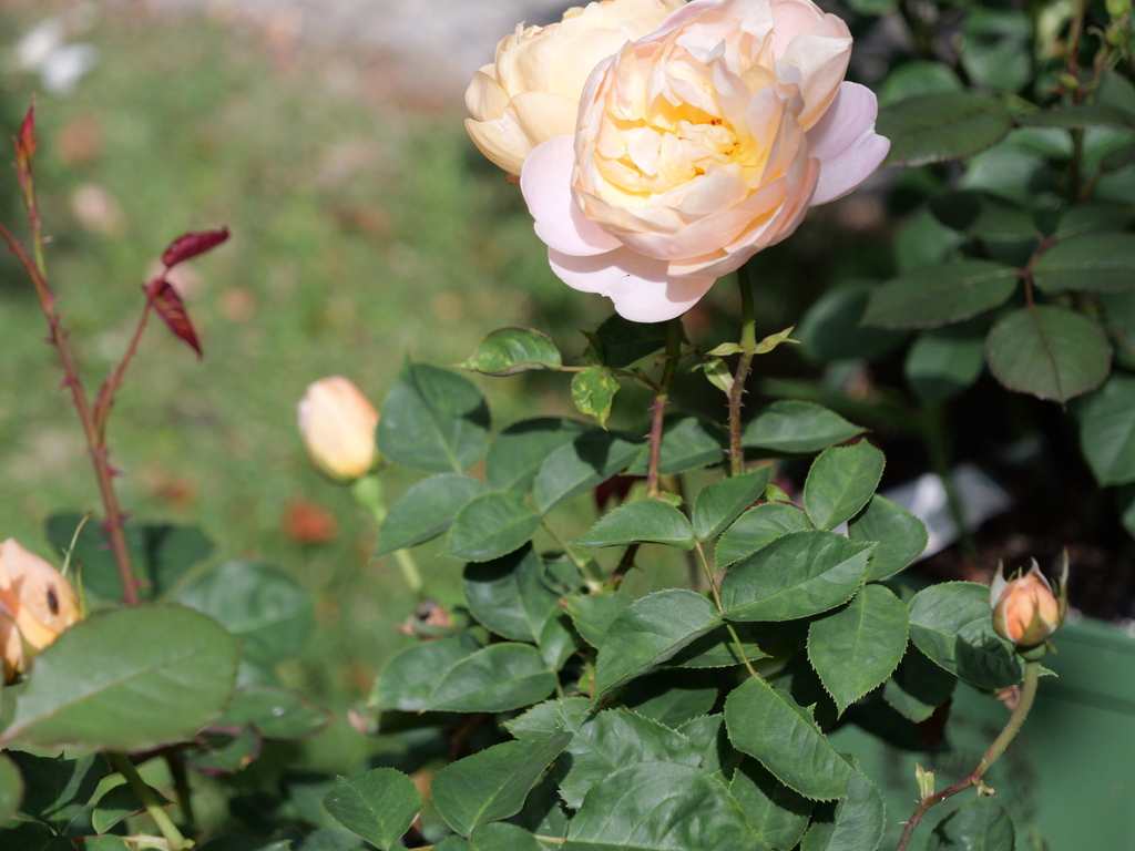 2025-05-08 09_09№(0372).JPG