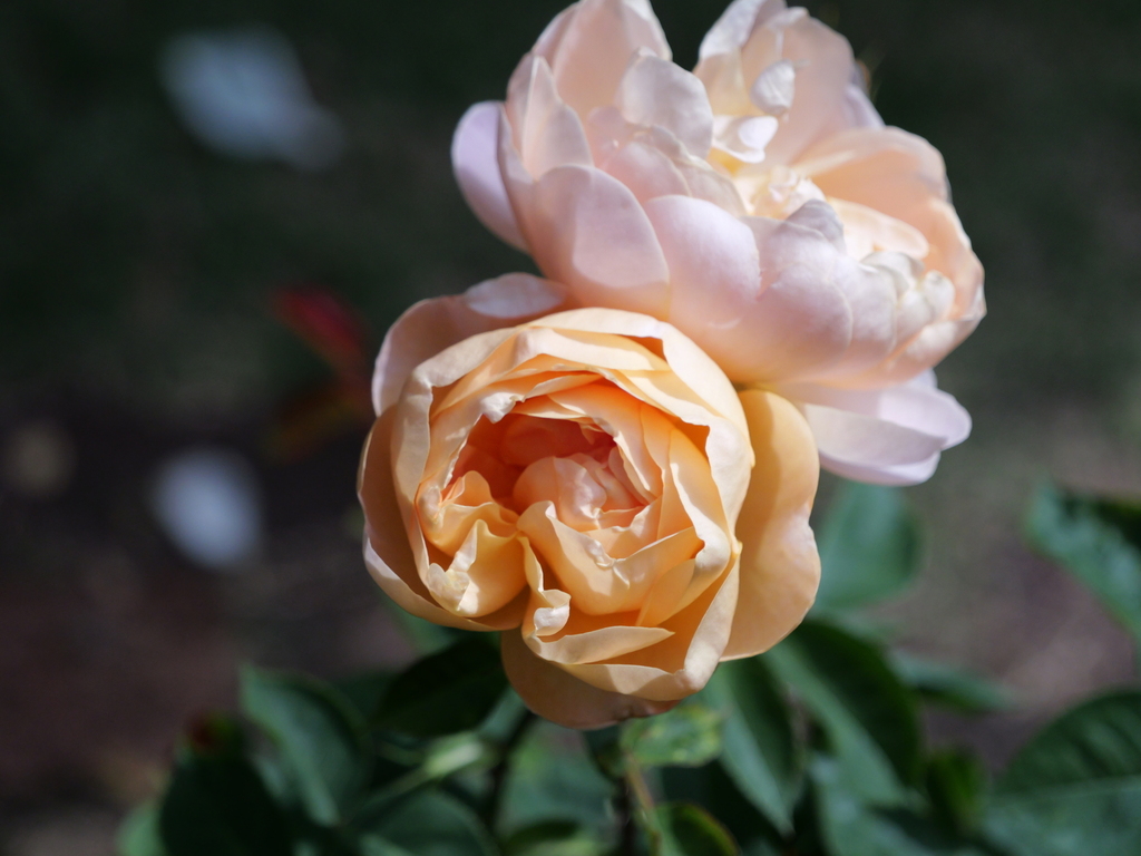 2025-05-08 09_09№(0378).JPG