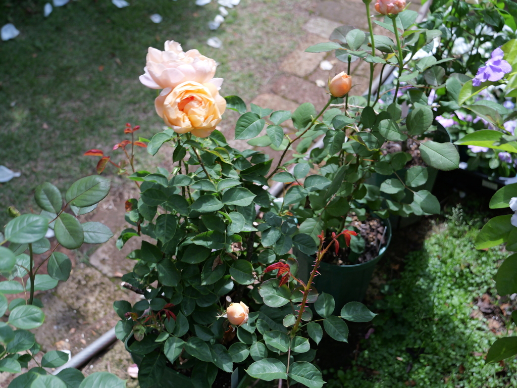 2025-05-08 09_09№(0380).JPG