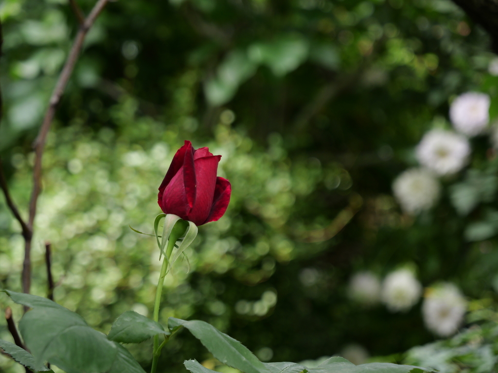 2025-05-08 11_57№(0674).JPG