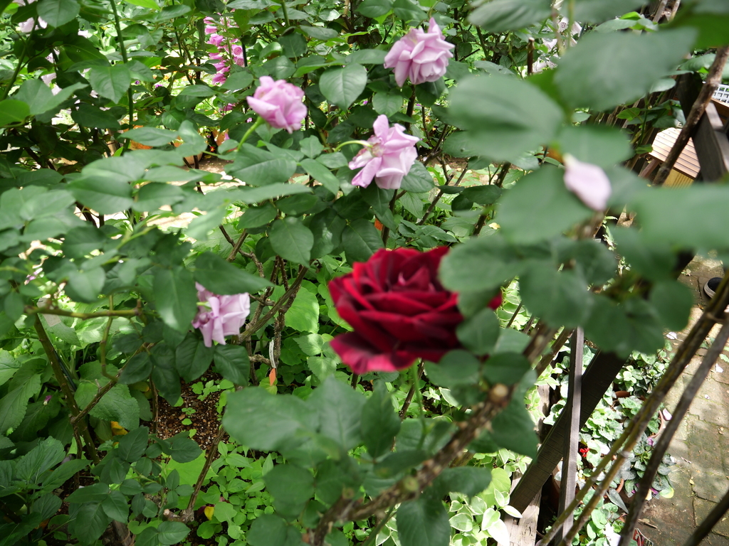 2025-05-08 12_00№(0679).JPG