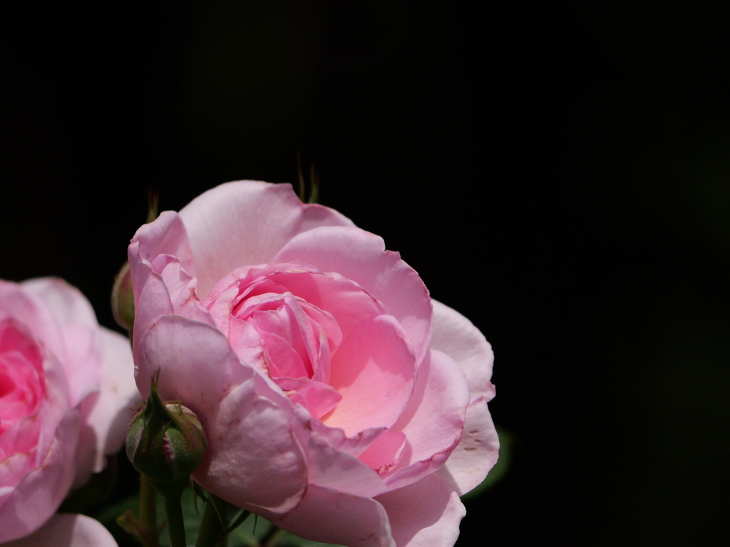 2025-05-08 13_28№(1057).JPG