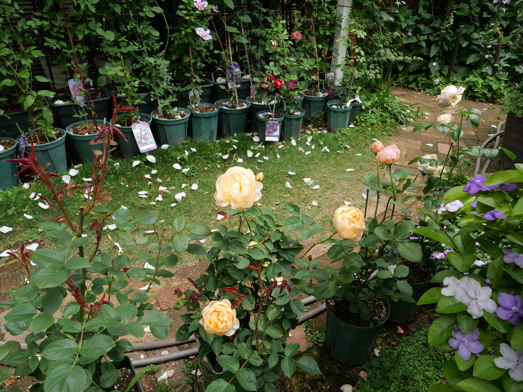 2025-05-09 11_23№(0885).JPG