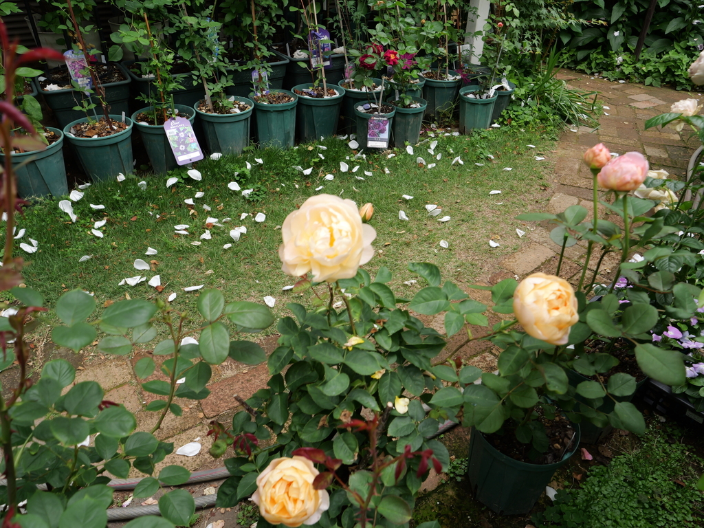 2025-05-09 11_24№(0887).JPG