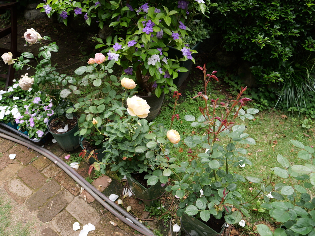 2025-05-09 12_09№(1139).JPG