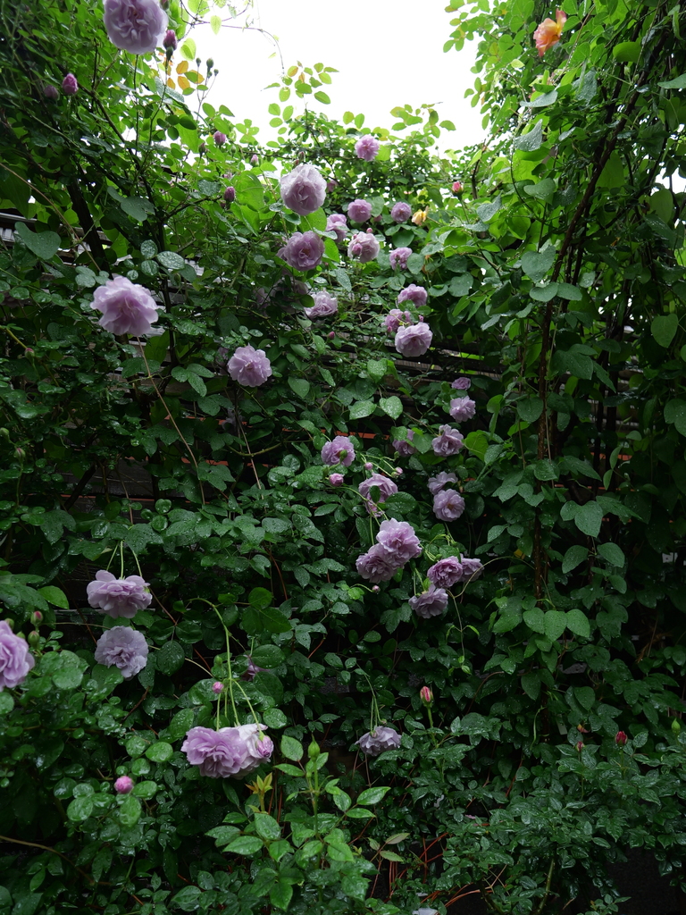 2025-05-10 08_59№(0183).JPG