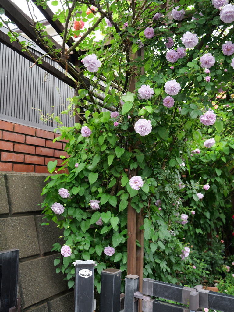 2025-05-10 14_04№(0522).JPG