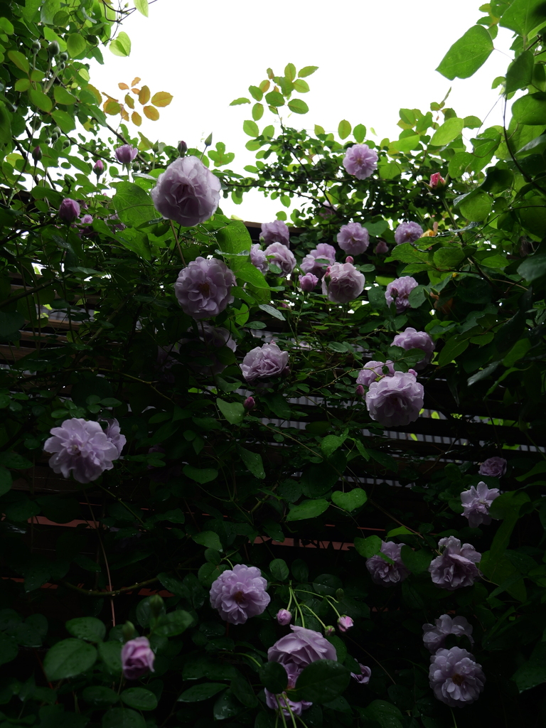 2025-05-10 14_33№(0668).JPG