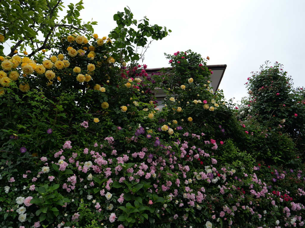 2025-05-12 11_33№(0282).JPG